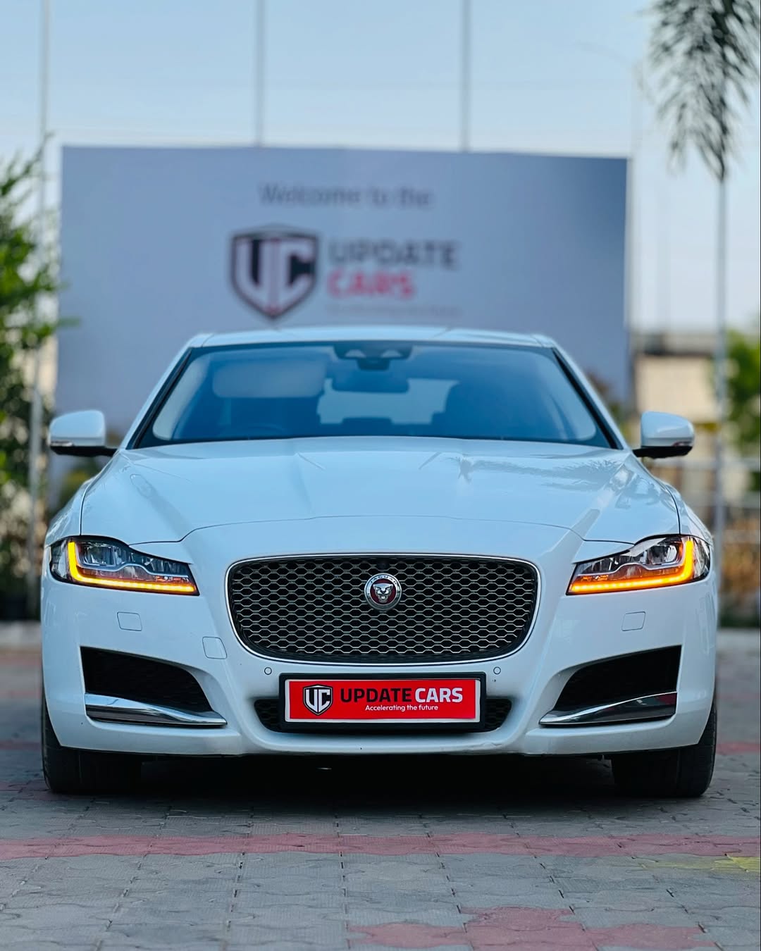 Jaguar